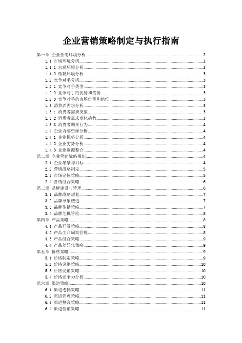 企业营销策略制定与执行指南