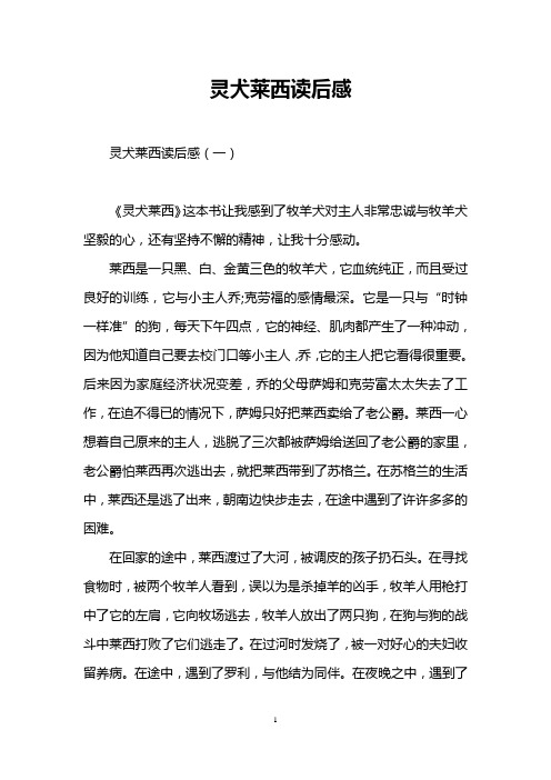 灵犬莱西读后感