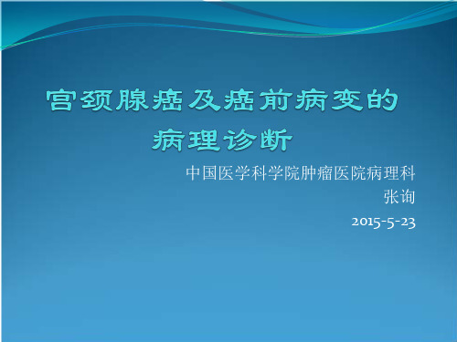 对宫颈腺上皮肿瘤和癌前病变病理认识