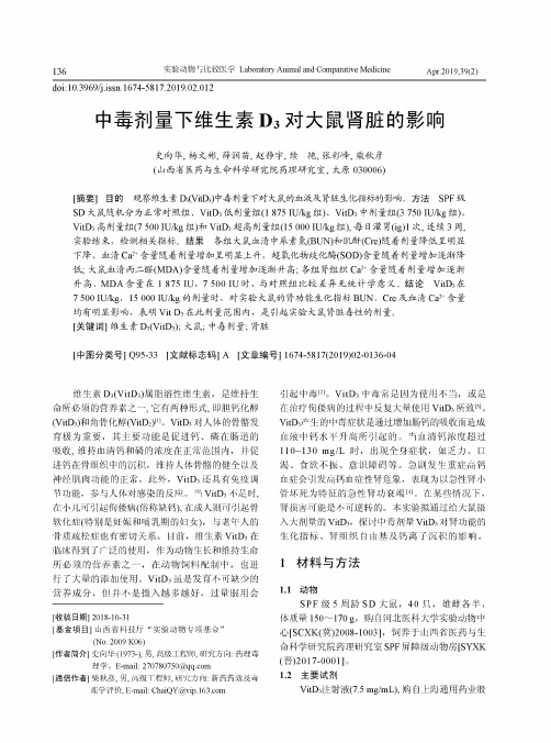 中毒剂量下维生素D3对大鼠肾脏的影响