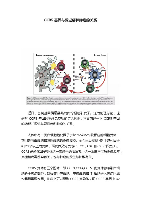 CCR5基因与爱滋病和肿瘤的关系