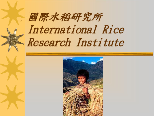 国际水稻研究所International Rice Research Institute