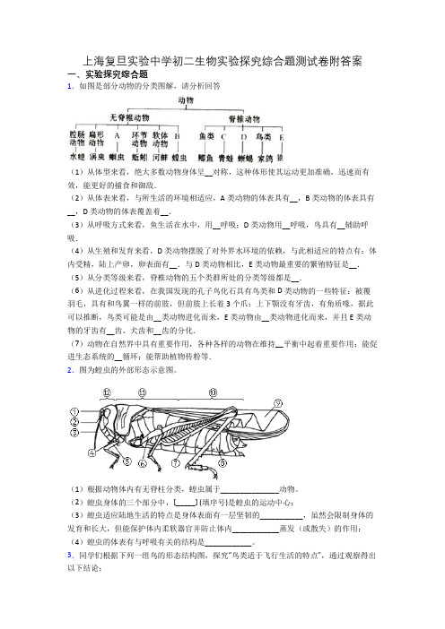 上海复旦实验中学初二生物实验探究综合题测试卷附答案