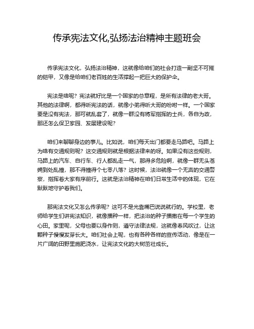 传承宪法文化,弘扬法治精神主题班会