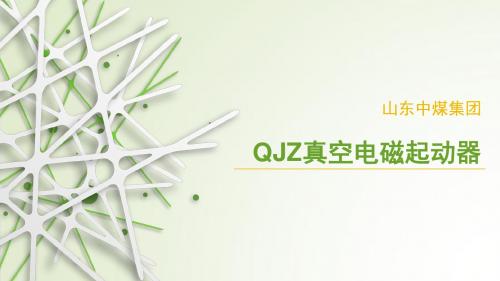 QJZ真空电磁起动器