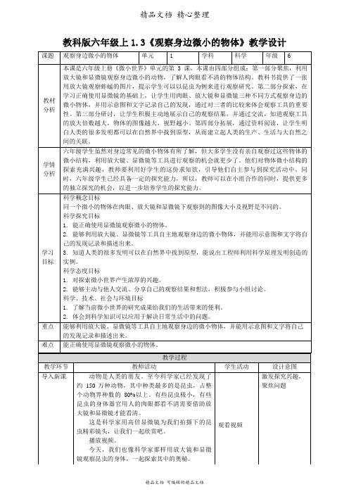 新教材教科版六年级上册科学 1-3《观察身边微小的物体》教案(教学设计)