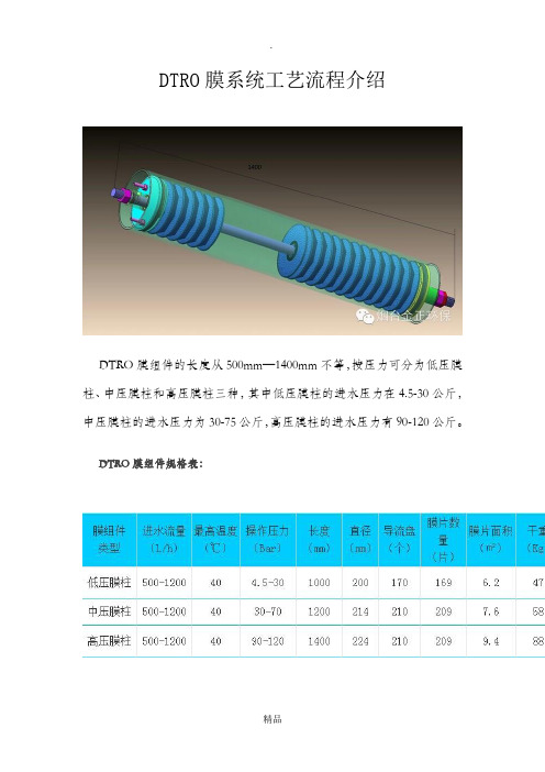 DTRO膜系统工艺流程介绍