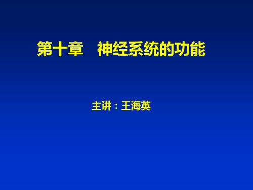 人体解剖生理学-五版 神经系统