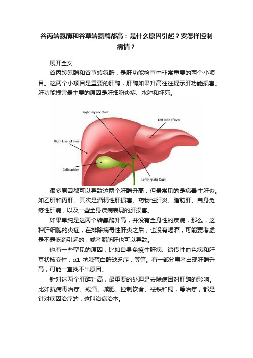 谷丙转氨酶和谷草转氨酶都高：是什么原因引起？要怎样控制病情？