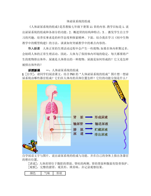 苏教版七年级下册生物教案设计：4.11.1人体泌尿系统的组成