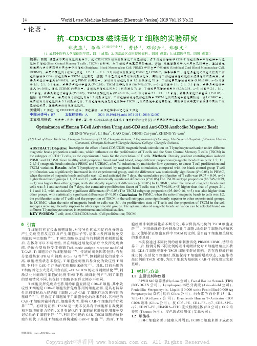 抗-CD3CD28 磁珠活化T 细胞的实验研究