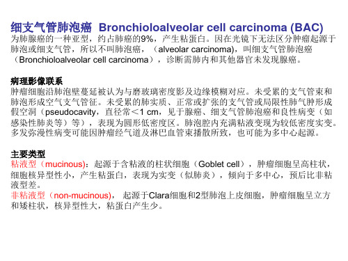 细支气管肺泡癌