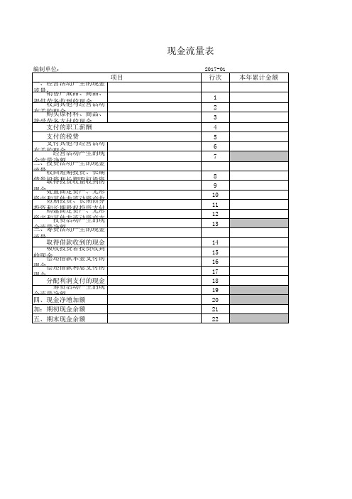 简易现金流量表空白