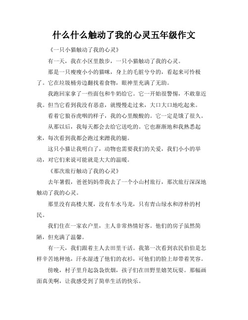 什么什么触动了我的心灵五年级作文