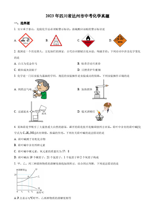 2023年四川省达州市中考化学真题含解析