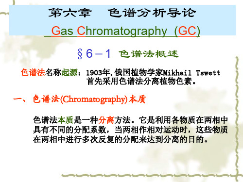 仪器分析学习课件 第6章 色谱法导论-气相色谱