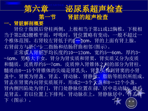 泌尿系统超声检查课件