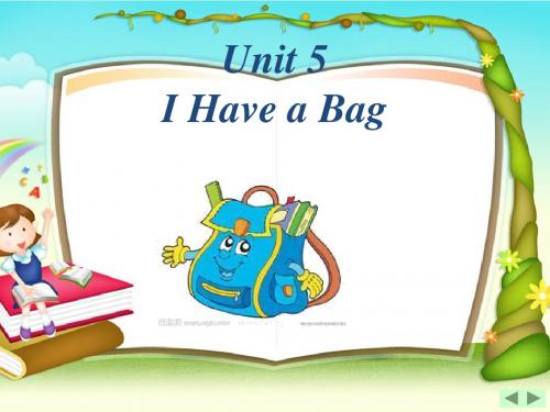 陕旅版小学英语三年级上册Unit 5《I have a bag》PPT课件1