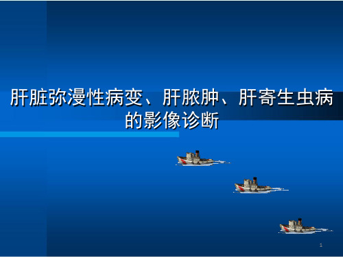 肝脏弥漫性病变、肝脓肿、肝寄生虫病的影像诊断