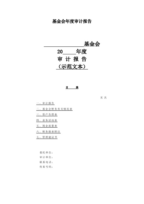 基金会年度审计报告