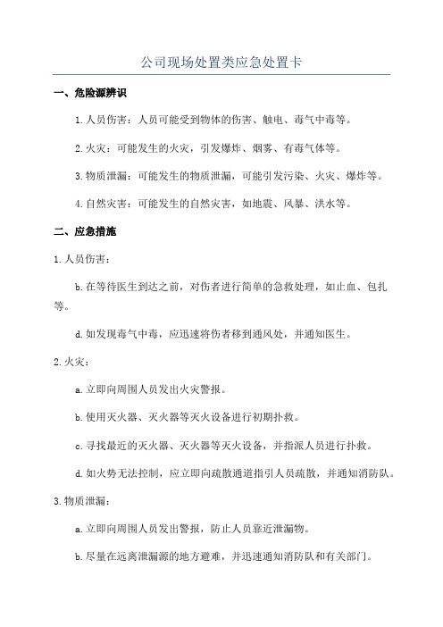 公司现场处置类应急处置卡