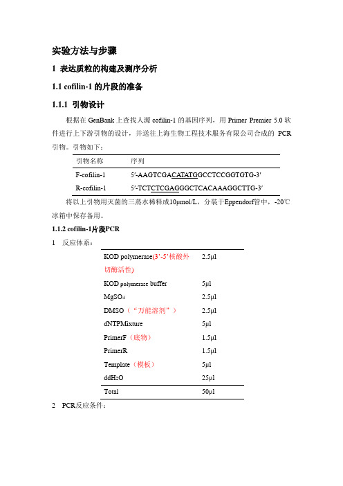 原核表达步骤