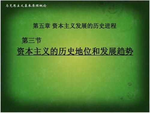资本主义发展的历史进程