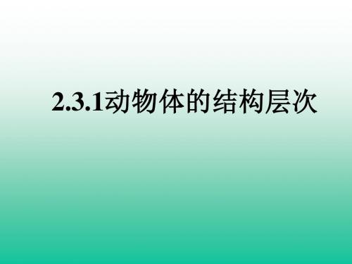 动物体的结构层次