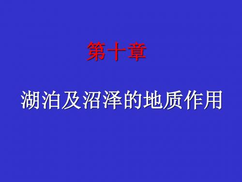 10第十章湖泊地质作用