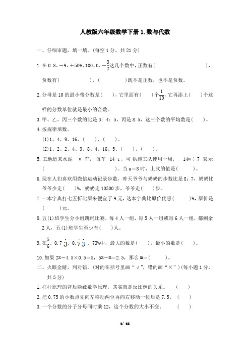 人教版六年级数学下册小升初专项试卷  数与代数 附答案