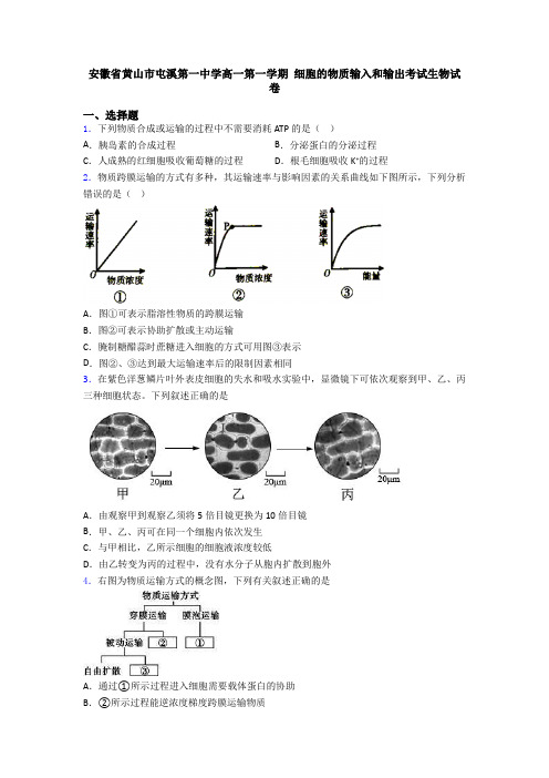 安徽省黄山市屯溪第一中学高一第一学期 细胞的物质输入和输出考试生物试卷