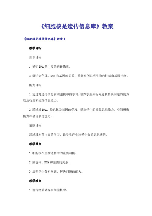 《细胞核是遗传信息库》教案