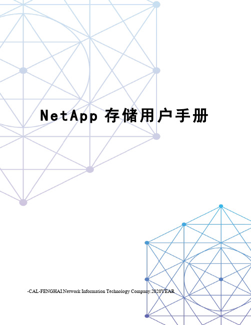 NetApp存储用户手册