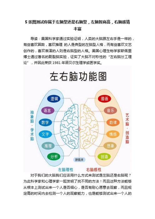 5张图测试你属于左脑型还是右脑型，左脑智商高，右脑感情丰富