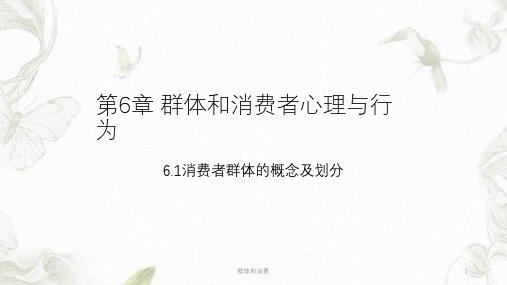 群体和消费ppt课件