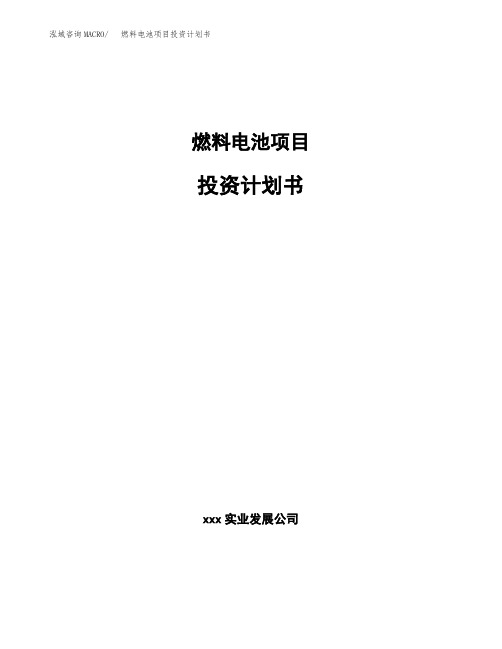 燃料电池项目投资计划书