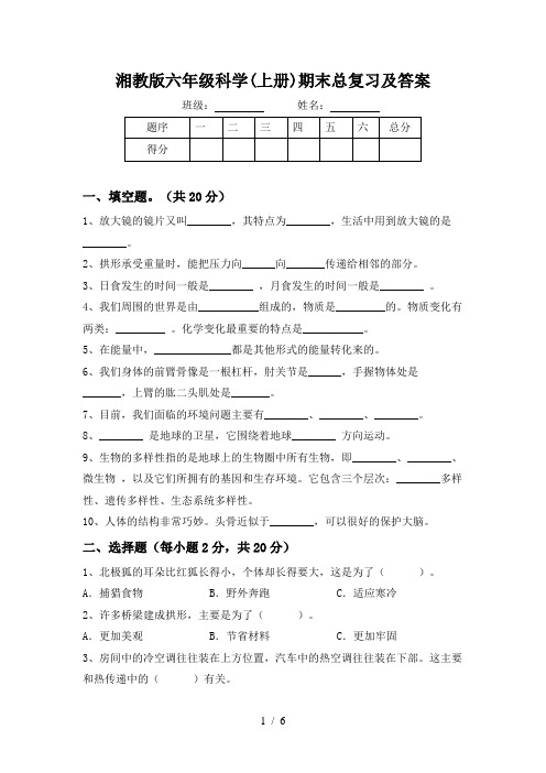 湘教版六年级科学(上册)期末总复习及答案