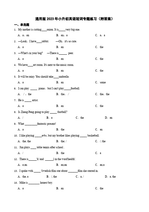 通用版2023年小升初英语冠词专题练习(附答案)