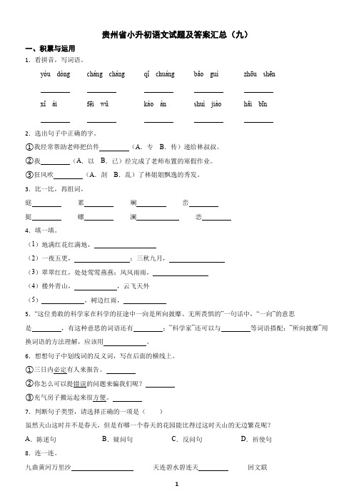 贵州省小升初语文试题及答案汇总(九)