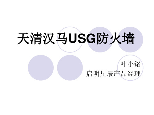 启明星辰USG防火墙