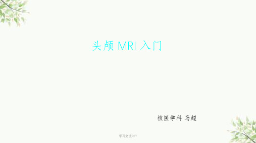 头颅磁共振MRI诊断入门知识课件