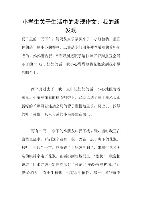 小学生关于生活中的发现作文：我的新发现