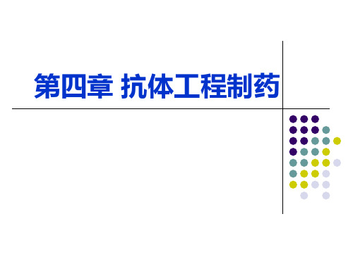 生物技术制药:4-抗体工程制药-1