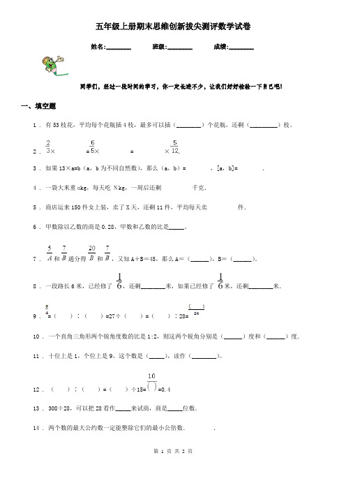 五年级上册期末思维创新拔尖测评数学试卷