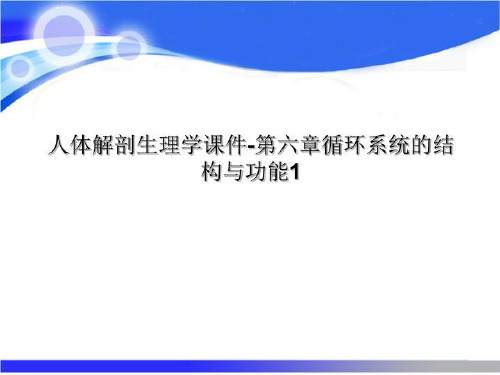 人体解剖生理学课件-第六章循环系统的结构与功能1