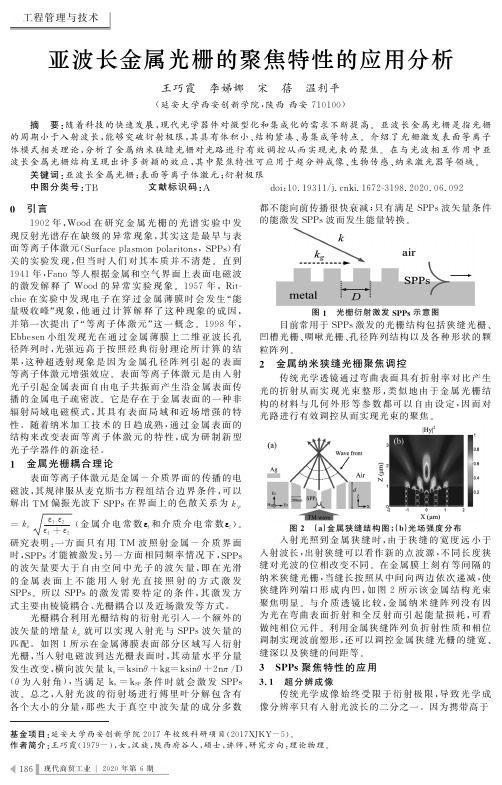 亚波长金属光栅的聚焦特性的应用分析