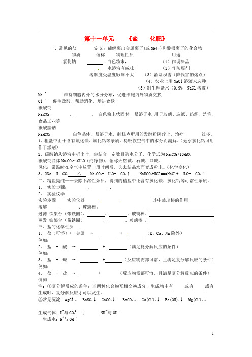 中考化学第一轮复习：第11单元《盐、化肥》名师教案