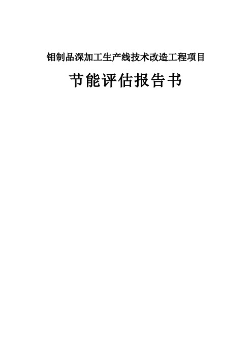 钼制品深加工生产线技术改造工程项目可行性研究报告