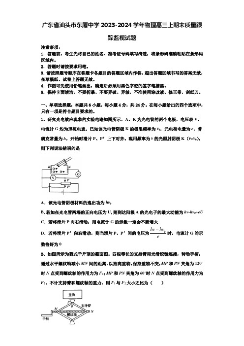 广东省汕头市东厦中学2023-2024学年物理高三上期末质量跟踪监视试题含解析