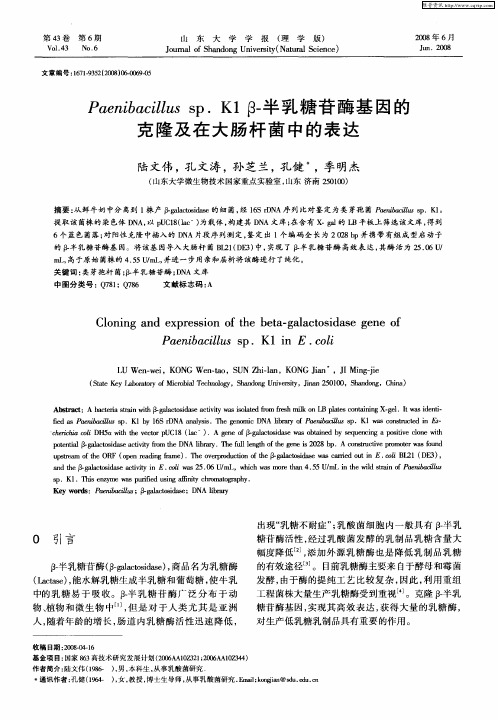 Paenibacillus sp.K1 β-半乳糖苷酶基因的克隆及在大肠杆菌中的表达